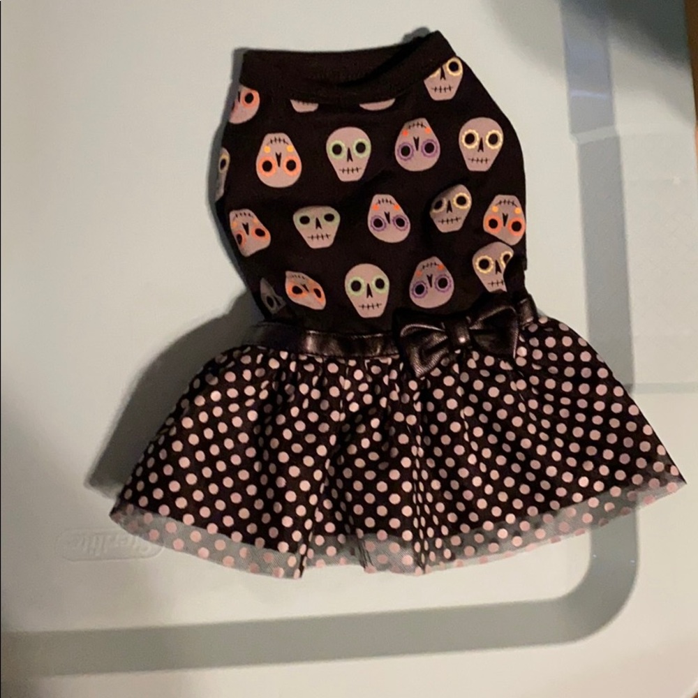 Dress for Small Dog